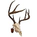 Walnut Hollow Country Euro Skull Mounting Kit