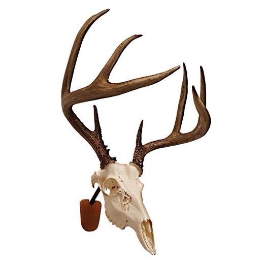 Walnut Hollow Country Euro Skull Mounting Kit