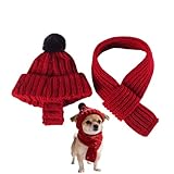 Design à rabat pour une protection supplémentaire : ce bonnet tricoté pour chien de taille S dispose de cache-oreilles intégrés qui garantissent que les oreilles de votre chiot restent entièrement couvertes et protégées du froid, offrant un ajustement sûr sans serrer ou causer d'inconfort.