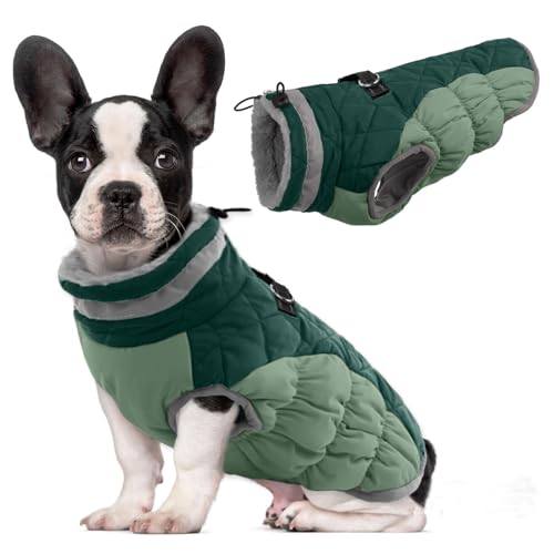 Lelepet Warm Dog Winter Coat Dog Coats for Small Dogs Waterproof Dogs Jacket with Harness Built in Reflective Cold Weather Coats Windproof Zip-Up Winter Fleece Vest Snowsuit Chihuahua Teal G