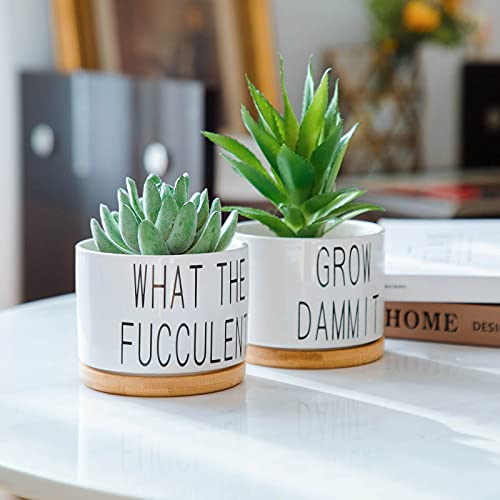 Succulent Pots, Popvip 3.15 Inch Ceramic Funny Planter Pots With Bamboo Tray, Housewarming Gift For Women, Best Friend, Daughter, Mom, Coworker, Pack Of 2 - Plants Not Included (A) #TOP3