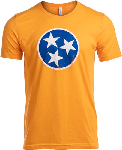 Tennessee Flag Orange - Vintage Distressed Effect Tennesseean State Pride T-Shirt-(Adult,XL)