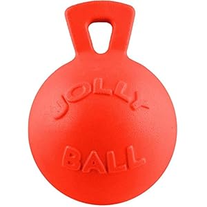   Jolly-Pets-Tug-n-Toss-Heavy-Duty-Dog-Toy-Ball-with-Handle-10-InchesX-Large-Orange-Large-Breeds