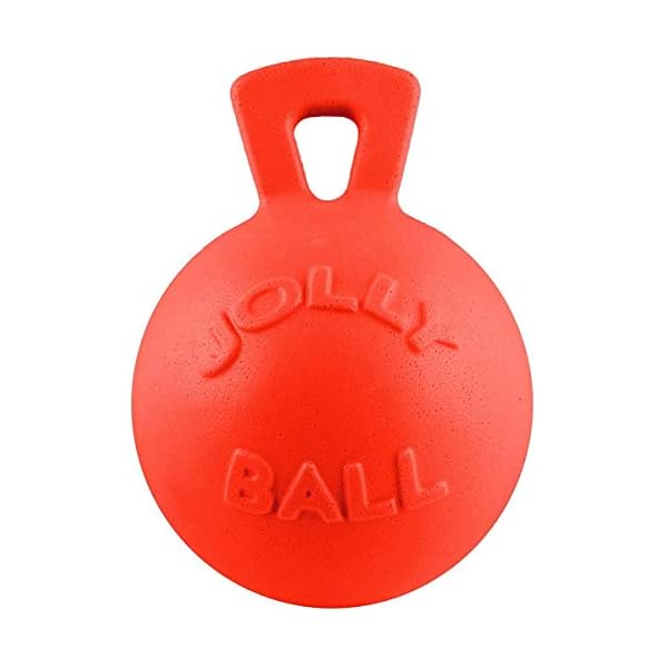   Jolly-Pets-Tug-n-Toss-Heavy-Duty-Dog-Toy-Ball-with-Handle-10-InchesX-Large-Orange-Large-Breeds