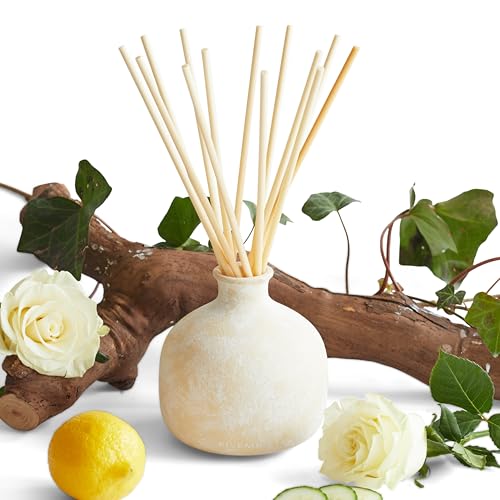 BLUEME-Bundle-Renew-Ivy-Rose-1691-Fl-Oz-Wellness-Diffuser-Oil-Refill-Contains-Essential-Oil-Sustainable-Hand-Finished-Premium-Luxury-Ceramic-Natural-Rattan-Reeds BLUEME Bundle Renew Ivy Rose 1691 Fl Oz Wellness Diffuser Oil Refill Contains Essential Oil Sustainable Hand Finished Premium Luxury Ceramic Natural Rattan Reeds