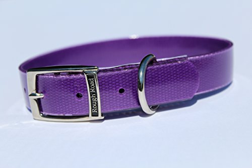 Rough Road Professional Grade Soft Grip and Poly Coated Nylon Webbing Dog Collar Great for Hunting Training Dog Trials Comes in Multiple Colors (1