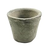 HomArt Rustic Terra Cotta Rose Pot, Petite, Moss Grey, 1-Count