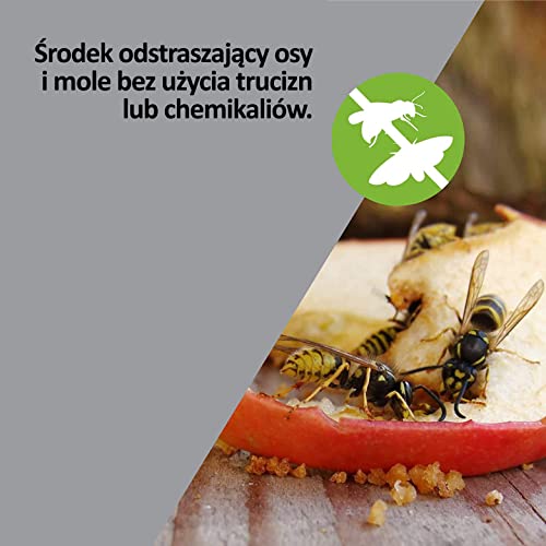 ISOTRONIC Odstraszacz os i moli – Naturalna ochrona ultradźwiękowa – Zmienny sygnał częstotliwości – Zasięg do 50 m² – Skuteczny i bezpieczny (1 opakowanie)