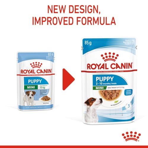 Image of Royal Canin Mini Puppy, Wet Gravy Food Pouch, Pack of 48 Pieces, Supports Teeth Texture, Immunity System & Brain Development