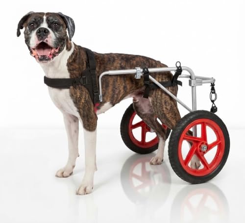 Image of Dog Wheelchair for Back Legs - K9 Orthopedic Surgeon Designed & Tested - Adjustable Dog Harness Stroller Cart with All Terrain Wheels Hind Leg Support - Mobility Aid by Best Friend Mobility - Large