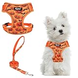 PUPTECK Small Dog Harness and Leash Set, No Pull Adjustable Puppy Cat Harness, Reflective Soft Mesh Pet Vest Small Sized