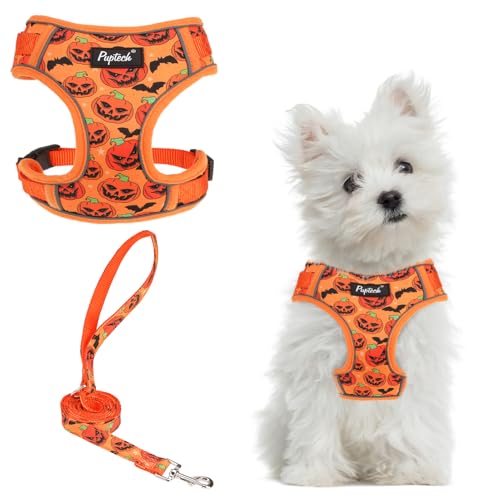 PUPTECK Small Dog Harness and Leash Set, No Pull Adjustable Puppy Cat Harness, Reflective Soft Mesh Pet Vest Small Sized