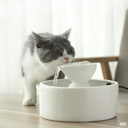 Fuente automática de agua para gatos cerámica REAGAR miniatura 6