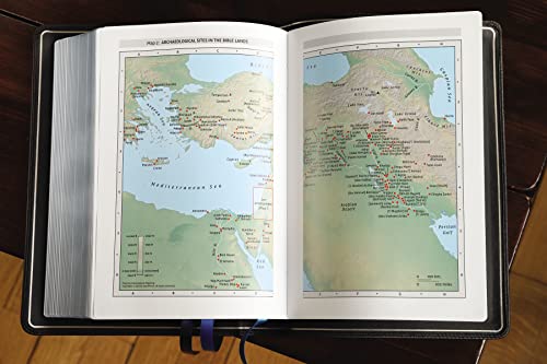 Niv, Thompson Chain-Reference Bible, Premium Goatskin Leather, Black, Premier Collection, Black Lett