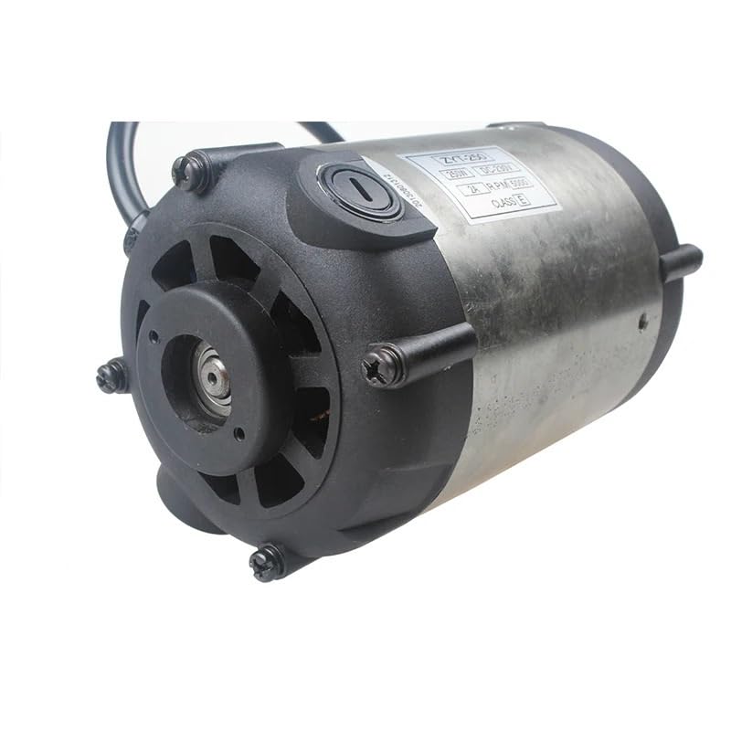 NURII DC Motor ZYT-250W 220V&110V(AC220V)