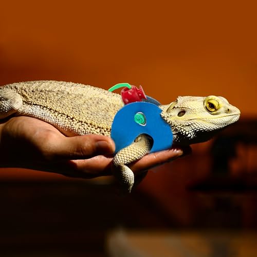 Image of AIITLE Multi-Size Bearded Dragon Leash - Comfortable Adjustable Harness for Reptiles & Small Animals (Outdoor Walks, Pet Events), Blue