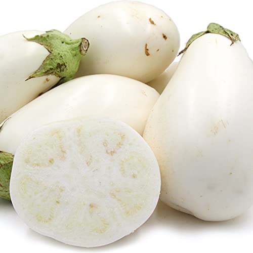Qauzuy Garden 30 Easter White Eggplant Seeds Prolific Garden Vegetable Egg Seeds, Solanum Ornamental Eggplant Indoor Or Outdoor - Tasty Edible Vegetable Plants Seeds #TOP2