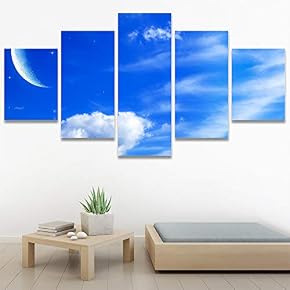SIGNWIN 5 Panel Canvas Wall Art Modern Art...