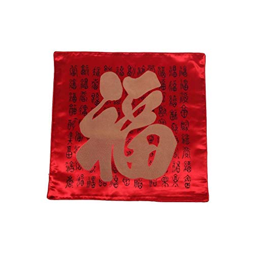 lachineuse Lot de 2 Housses DE Coussin Asiatique