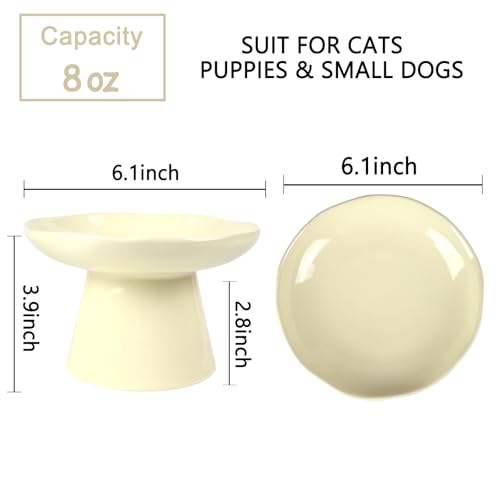 Image of Wide Shallow 6.1 inch Raised Cat Bowls, Ceramic Elevated Food Plate for Flat Faced Cats and Small Dogs, Porcelain Feeder Bowl, Stress Free, Protect Cat's Spine, Cream