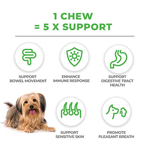 Mighty Petz MAX 5-in-1 Probiotics for Dogs – 4 Billion CFUs Probiotic Chews for Dogs and Digestive Enzymes + Prebiotic + Fiber. Gut Health, Anti Diarrhea, Allergy & Immunity Support Mighty Petz MAX 5-in-1 Probiotics for Dogs – 4 Billion CFUs Probiotic Chews for Dogs and Digestive Enzymes + Prebiotic + Fiber. Gut Health, Anti Diarrhea, Allergy & Immunity Support