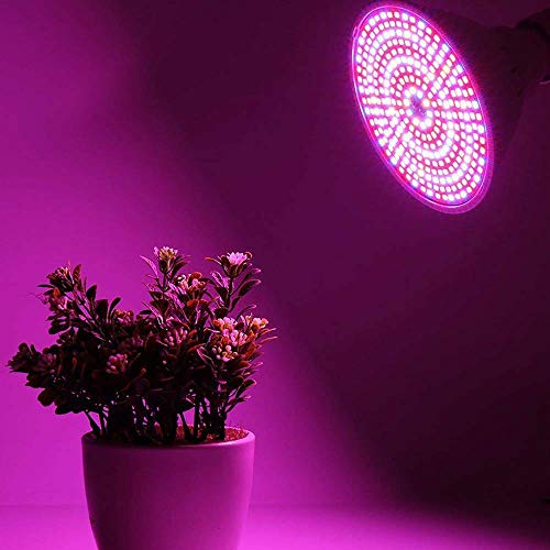 Bombilla de Planta LED de Espectro Completo, lámpara de Cultivo de luz LED Lámpara de Bombilla Crecimiento Vegetal Vegetales de Cultivo Lámpara de Planta de luz Natural para Flor de Interior