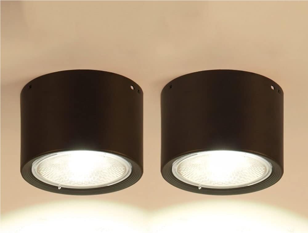LYOUAE 2PCS LED Cylinder Downlights Aluminum Spotlight Mount Spotlights