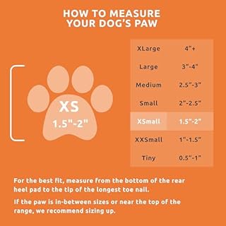 PawZ Rubber Dog Boots for Small Paws - All-Weather Waterproof Dog Shoes, Anti-Slip Traction for Rain, Snow, Mud & Hot Pavement - Pull-On Dog Booties, Orange - X-Small (1.5"-2") - Pack of 24