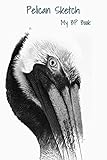  Pelican Sketch: My BP Book (Pelican BP Book, Band 1)