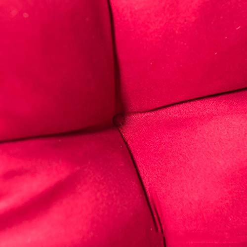 Chaise lounge del amortiguador Ruby Lil set de 2 cojines rojos plegables de patio 4