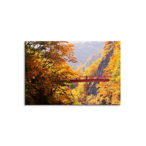 k A[gpl Gʐ^ gtkJԂ plt G CeA    Ǌ| H i A[gpl (40x60cmi16x24inj,A)