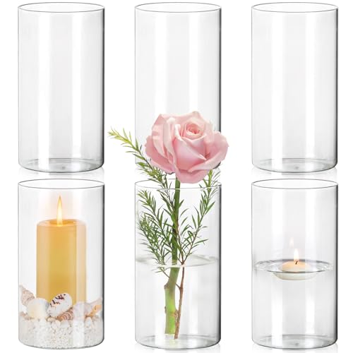 KOIUEYW Juego de jarrones de cristal de 15 cm de alto, jarrón de cristal transparente, jarrón de cilindro, jarrón alto, jarrones de cristal, jarrones pequeños para decoración de mesa para flores,