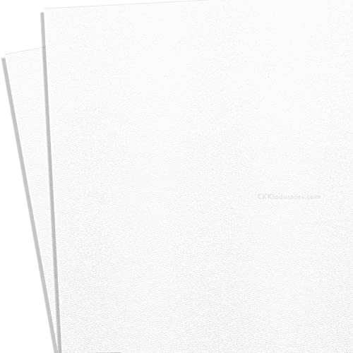 Image of BOLTARON Thermoform Sheet - (Haircell /Smooth) - (.080 Thickness) - (8in x 12in) - (Blizzard White) - (2 Sheets)