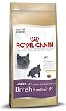 british shop online Tierfett Royal Canin Feline British Shorthair, 1er Pack (1 x 10 kg Beutel) - Katzenfutter