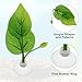 CAPASTEC Betta Fish Leaf, Natural Habitat Simulation for Betta Spawnings Grounds, Betta Spawnings Leaves, Resting Bed, Large & Small Leaves, Green