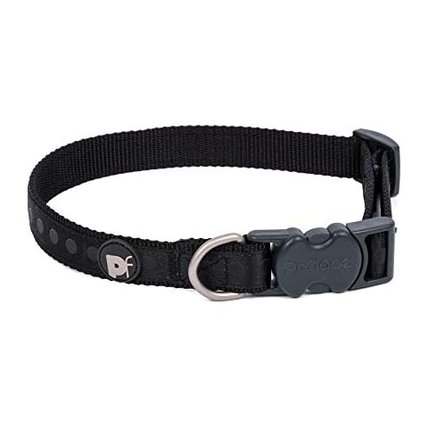 Collar de Perro con Estampado de Lunares Cover