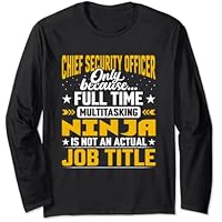 Chief Security Officer Job Title - Chief Security Inspector