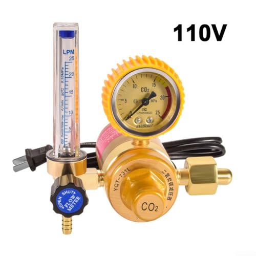 Régulateur de pression gaz industriel 220V filetage G5/8 - 3