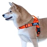 Personalized No Pull Dog Harness with Name and Phone Number,Quick Fit Easy Walk Dog Harness,Reflective No Choke Pet Vest with Easy Control Handle for Small Medium and Large Girl Boy Dogs,Orange,L