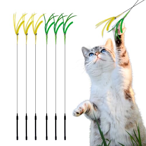 (SixMeow)猫じゃらし、猫おもちゃ、猫のお遊びススキ草(エノコログサ)運動不足解消ストレス解消、 緑(3個)、黄(3個) (SixMeow)猫じゃらし、猫おもちゃ、猫のお遊びススキ草(エノコログサ)運動不足解消ストレス解消、 緑(3個)、黄(3個)