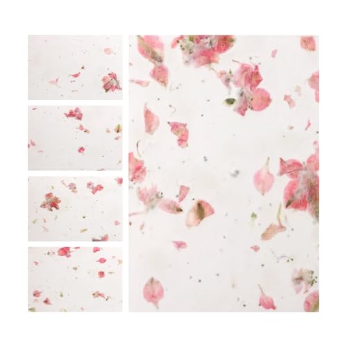 Seed Bloom Blank Seed Paper Cards with Pink Petals – 5 Sets of Cards with White Envelope Each, Embedded with Wildflower Seeds, Plantable and Writable Gifts for Loved Ones, Perfect for Any Occasion