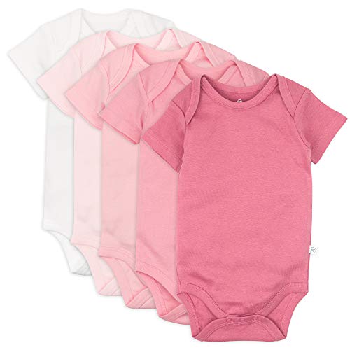 Image of HonestBaby baby-girls 5-pack Short Sleeve Bodysuits One-piece 100% Organic Cotton for Infant Baby Girls