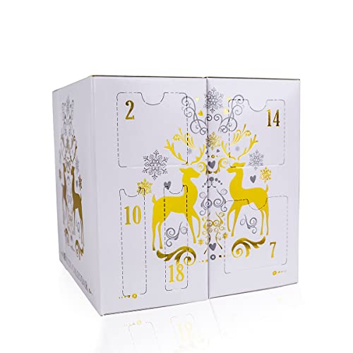 Rayher Cifre Calendario Stelle 1-24 su Molletta, Colori Misti, 4.5cm, Bus Blis 1 Set, 46659999