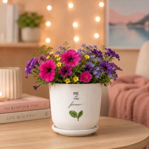 Image of Xtore Signature Ceramic Planter with Drainage Tray | Botanical Quote Print Flower Pot for Home, Study Table, Office Desk & Living Room Decor - (White, 1 Piece, Planter ONLY)