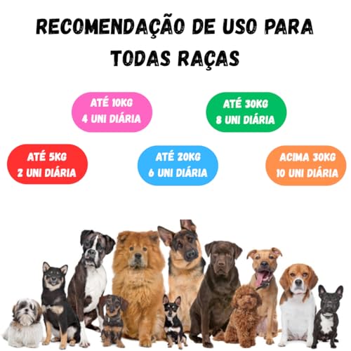 Bifinho Petisco Para Cães Sabor Churrasco 500g