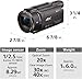 Sony FDRAX53/B 4K HD Video Recording Camcorder (Black)