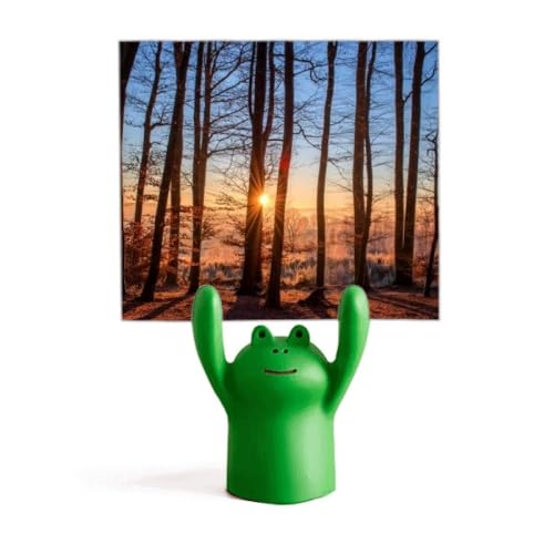 Porte-photo grenouille paysage nature un cadeau déco de bureau original