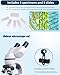 Compound Microscope ，40X-3200X Research Class, Microscope Kit LED Light, Carrying Box ，monocular Microscopes for Students Beginner