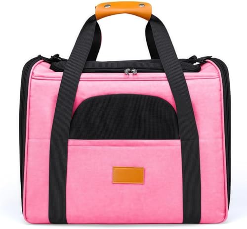 Tuyiutm ybgobOAV_[obOnhobOsobOA^LɓKĂA^щ\AʋCALƌ̗ɓKĂA܂肽݉\ (sN)