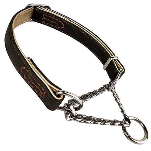 Penivo Haustiere Einstellbare Edelstahl Kettenhalsband Martingale Choke Leder Training Hundehalsband für Kleine Mittelgroße Hunde (L (38cm-55cm), Schwarz) Cover